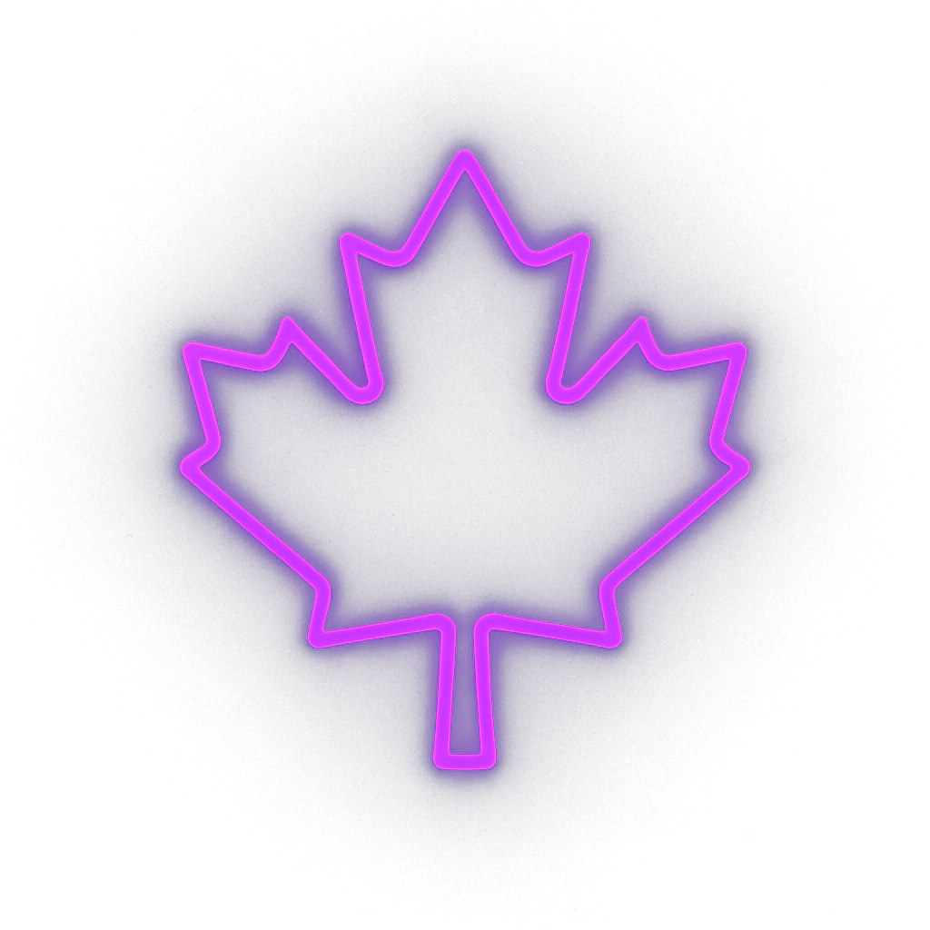 MapleGrid Data logo